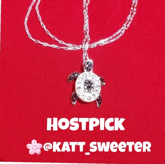 Jewelry - Tiny turtle Necklace